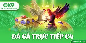 Đá Gà trực tiếp C4