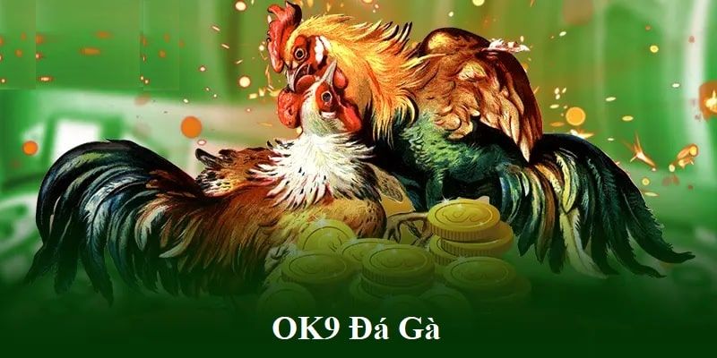 Tổng quan về siêu phẩm cá cược đá gà đòn OK9